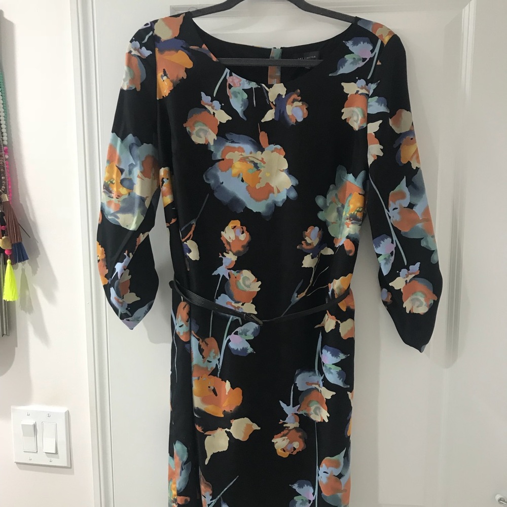 The Limited Dress